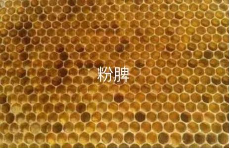 蜜蜂的饲喂技术,蜜蜂养殖加入什么能使蜜蜂活力大