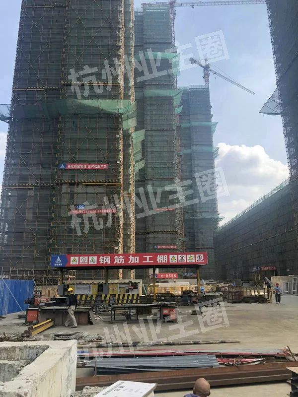 绿都什么意思,绿都包括哪些绿