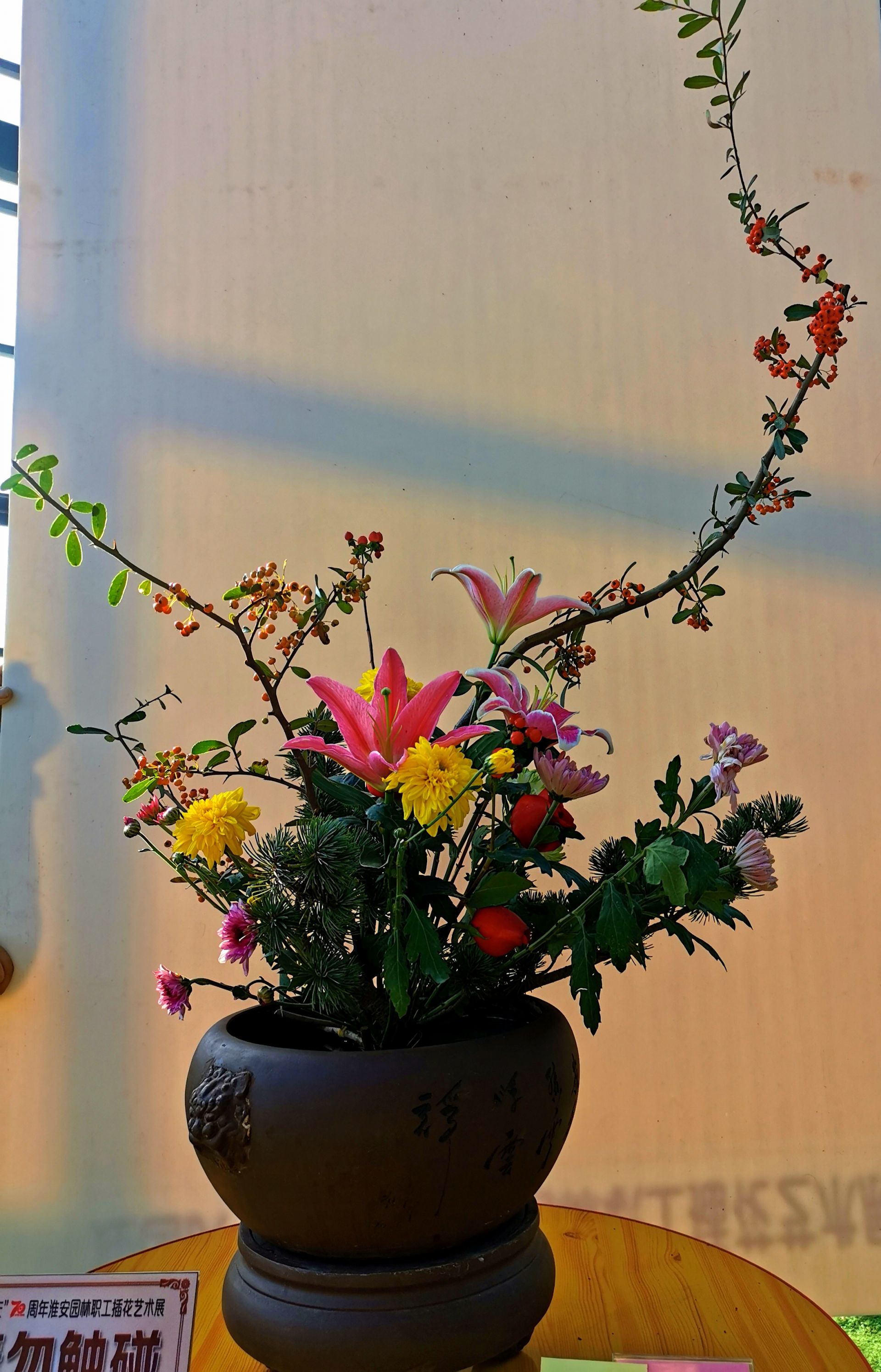 国庆去哪儿南国花锦,国庆去月季公园