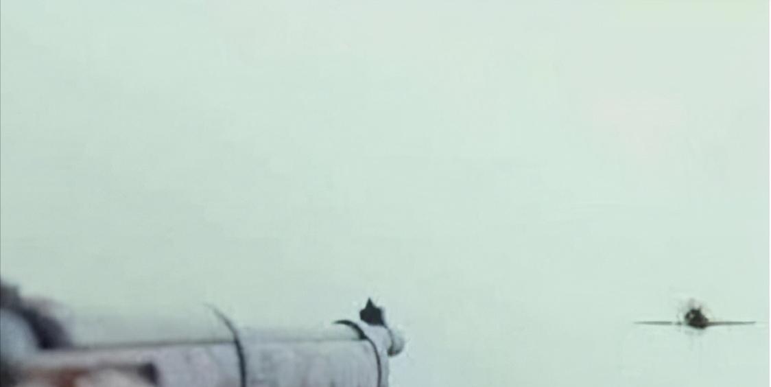 部队禁止的格斗招数,部队禁用格斗术