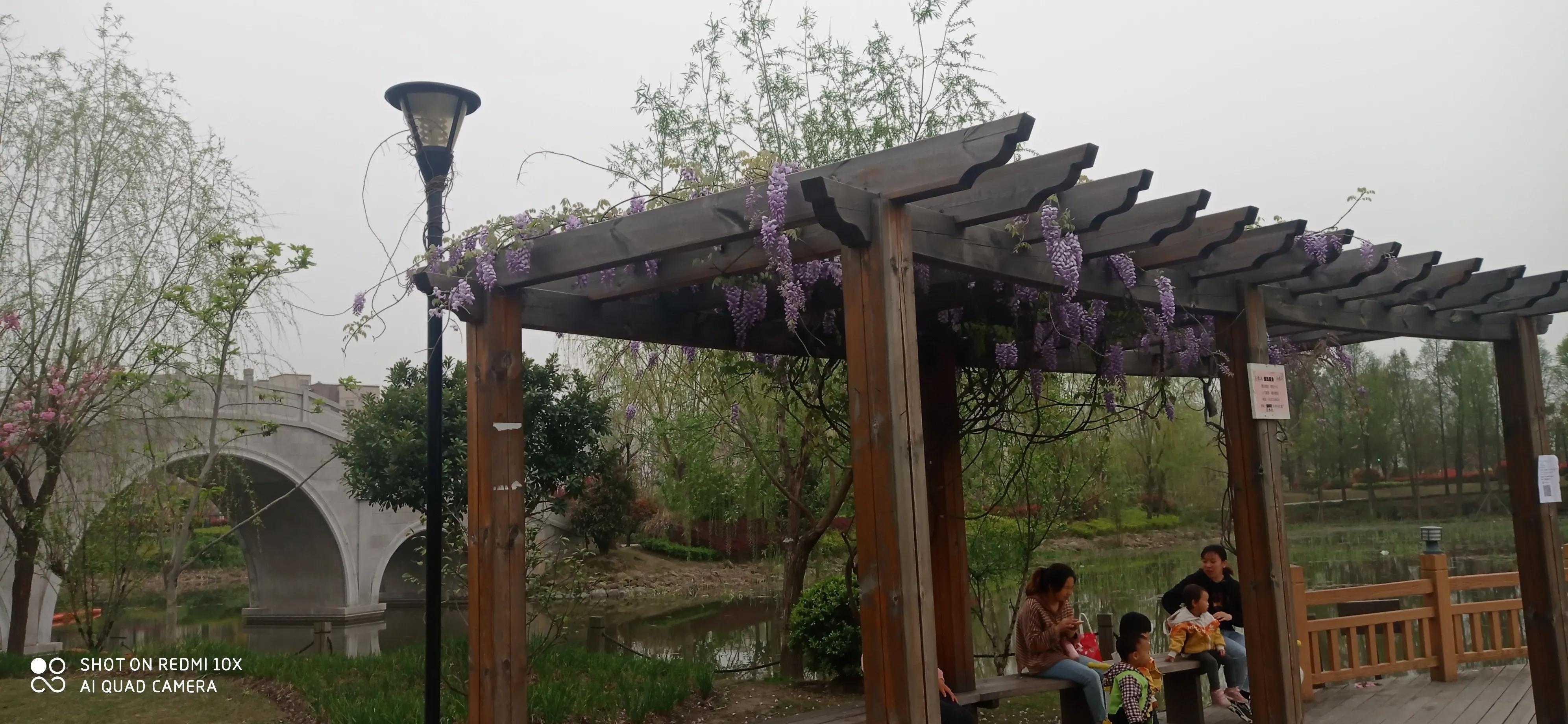 *制抵**解决不了国货品牌不强的问题；服务和质量，还有就是品牌管理