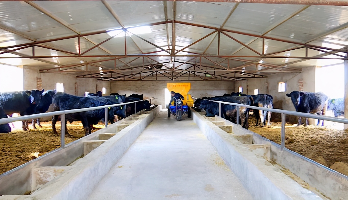 迈好第一步看见新气象,迈好第一步开门红