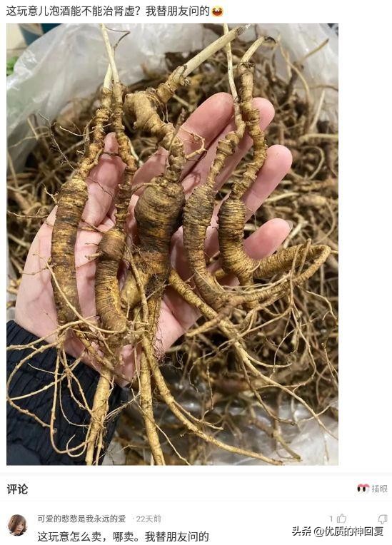 “第一次跟情侣睡，是什么感觉？”评论区都是高手啊！哈哈哈