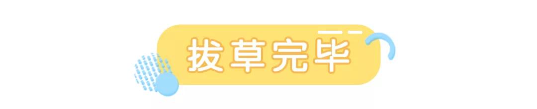 四款鸡肋的护肤品,帮大家拔草几款鸡肋护肤品
