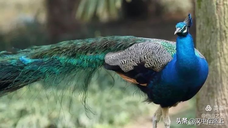 汉中户外遛娃好去处排行榜,汉中遛娃旅游景点有哪些