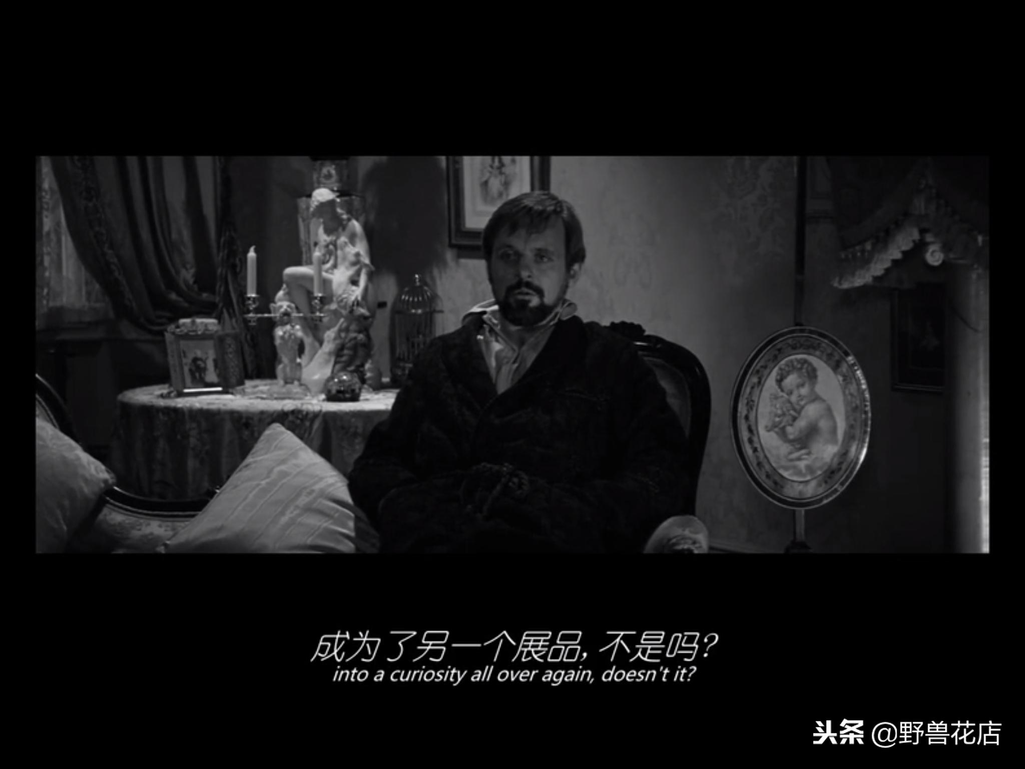 关于大象的经典电影,有关于大象的电影