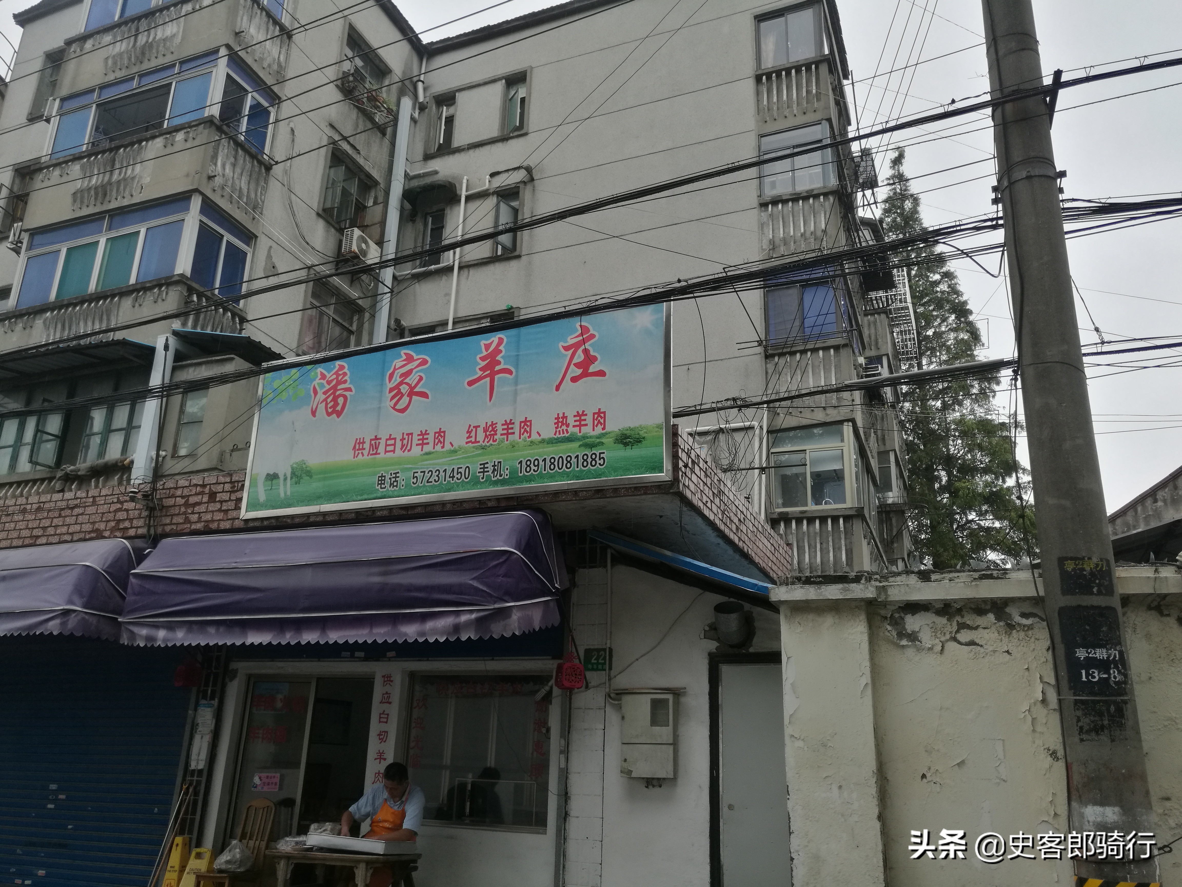 上海骑行看樱花,坐车看上海夜景