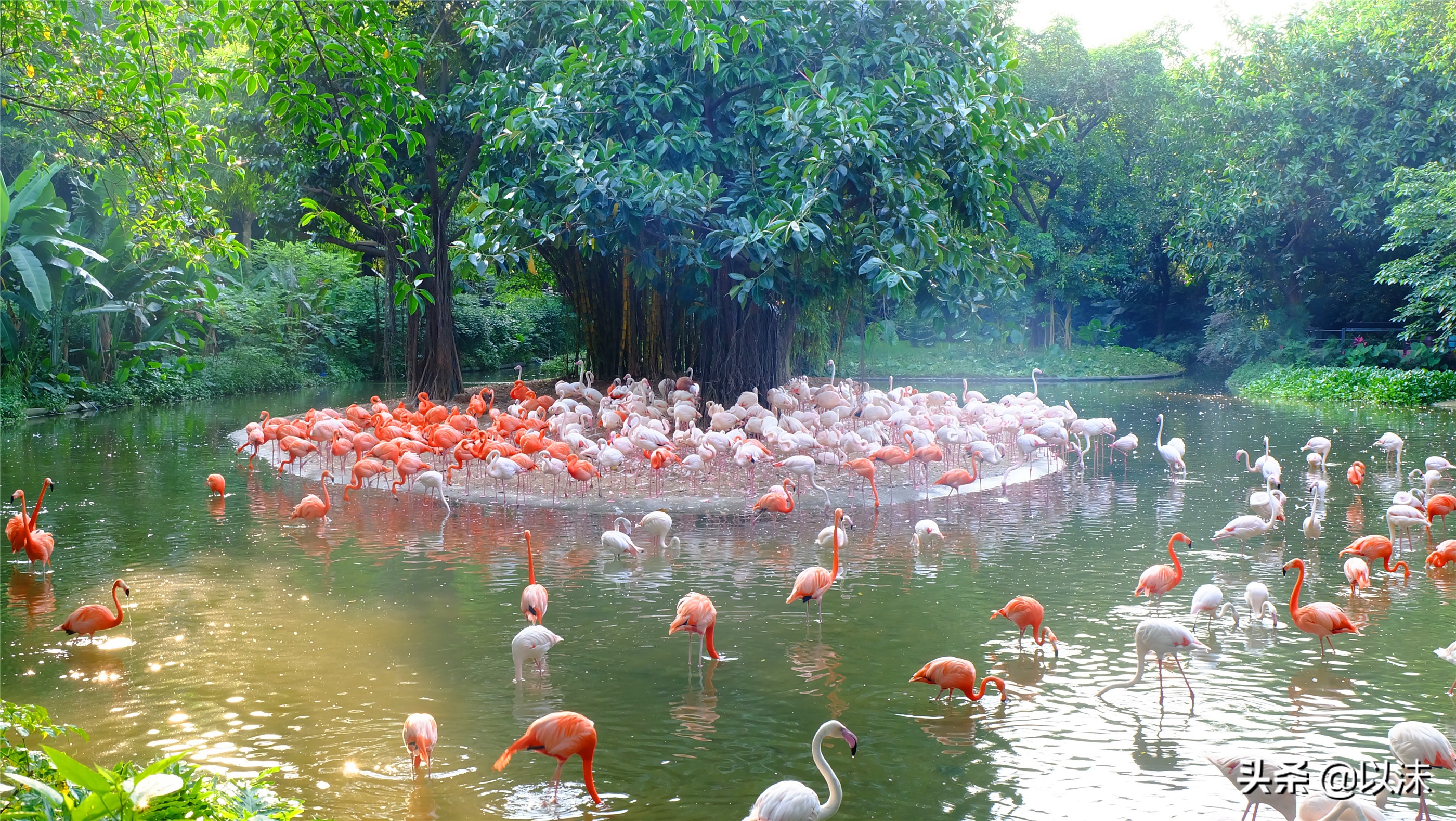 长隆野生动物世界游玩攻略,长隆野生动物世界带娃攻略