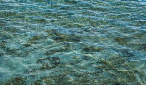 春天皮肤敏感泛红刺痛要怎么护肤,春季皮肤过敏泛红怎么护肤