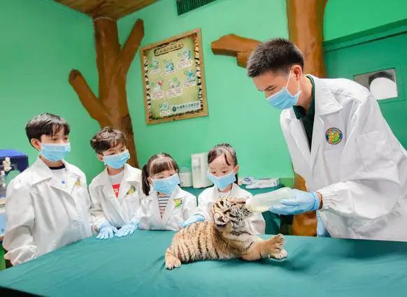 春节广州长隆野生动物世界攻略,广州长隆野生动物世界旅游攻略