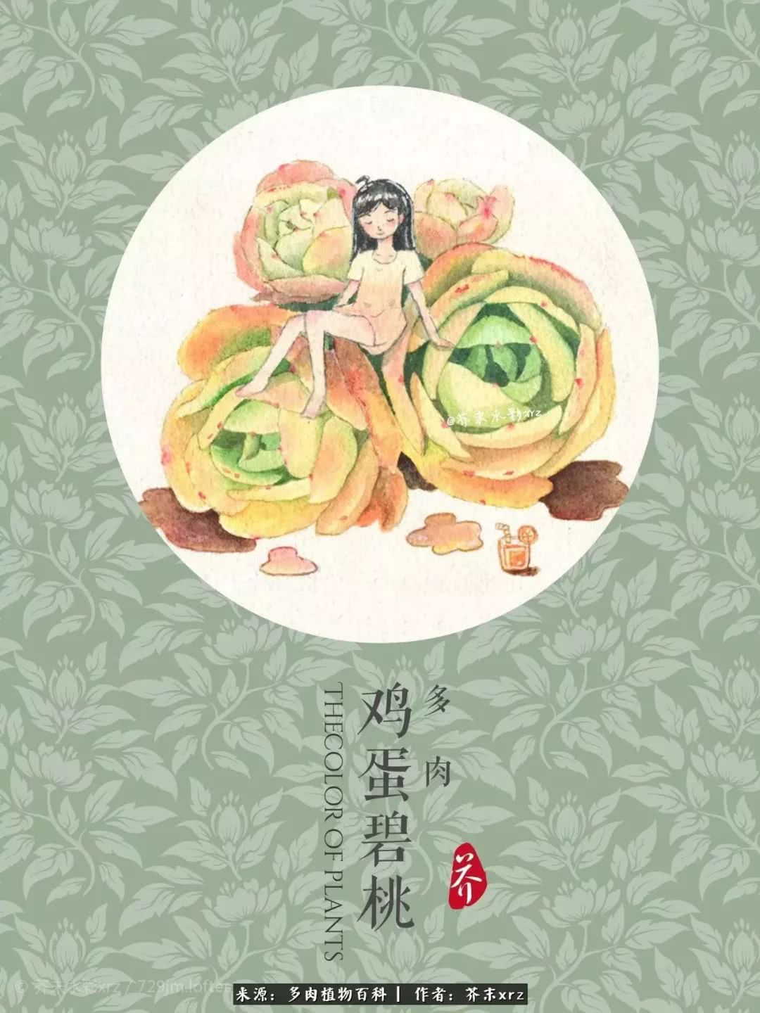 那个爱画多肉的小姑娘带着她的心头肉又来啦！