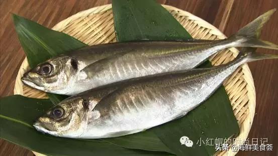 一般超市的鱼有几种,超市常见鱼品种