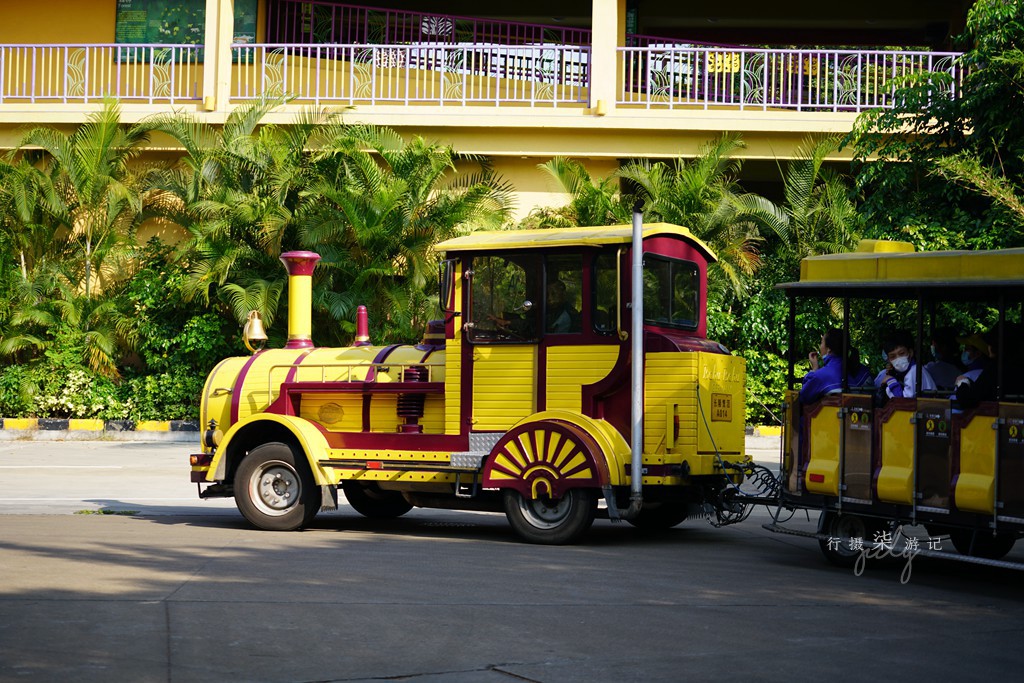 带娃去广州长隆野生动物园攻略,玩广州长隆野生动物园攻略