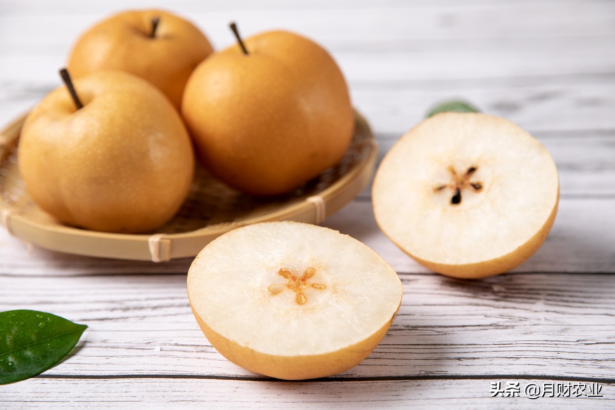 怎么区分秋月梨和丰水梨,如何区分秋月梨和秋皮梨