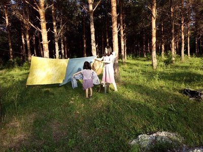 大自然美妙无比又生机勃勃的植物,植物染色的东西