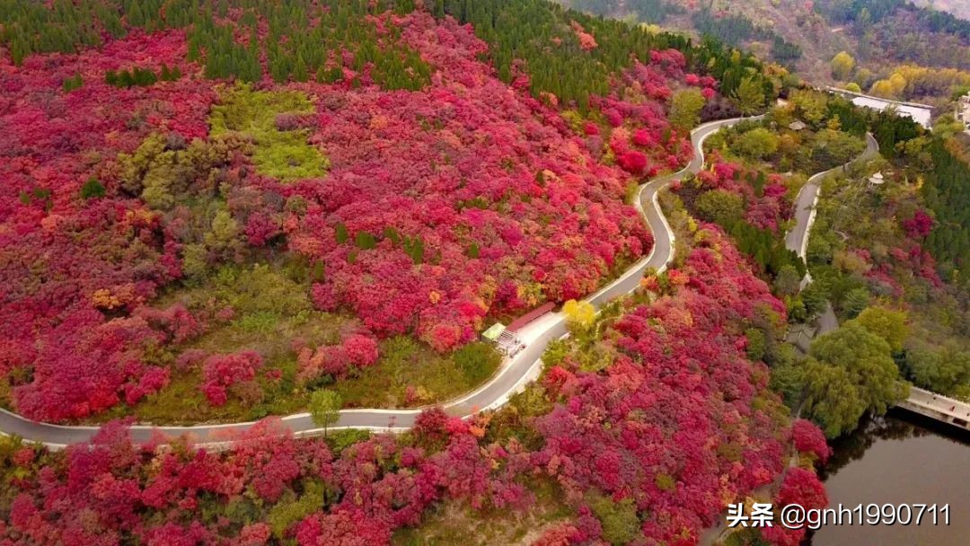 济南南部山区红叶谷几月去好,济南红叶谷旅游攻略视频
