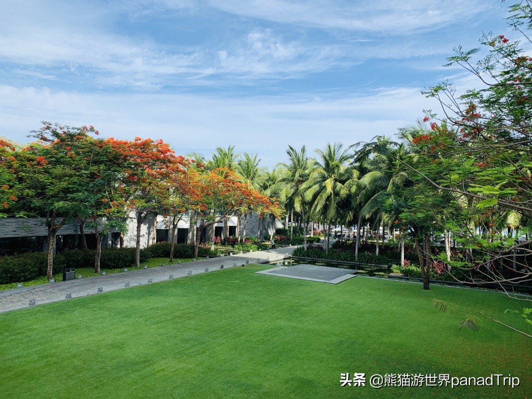 三亚半山半岛有几家五星级酒店,三亚半山半岛洲际酒店推荐