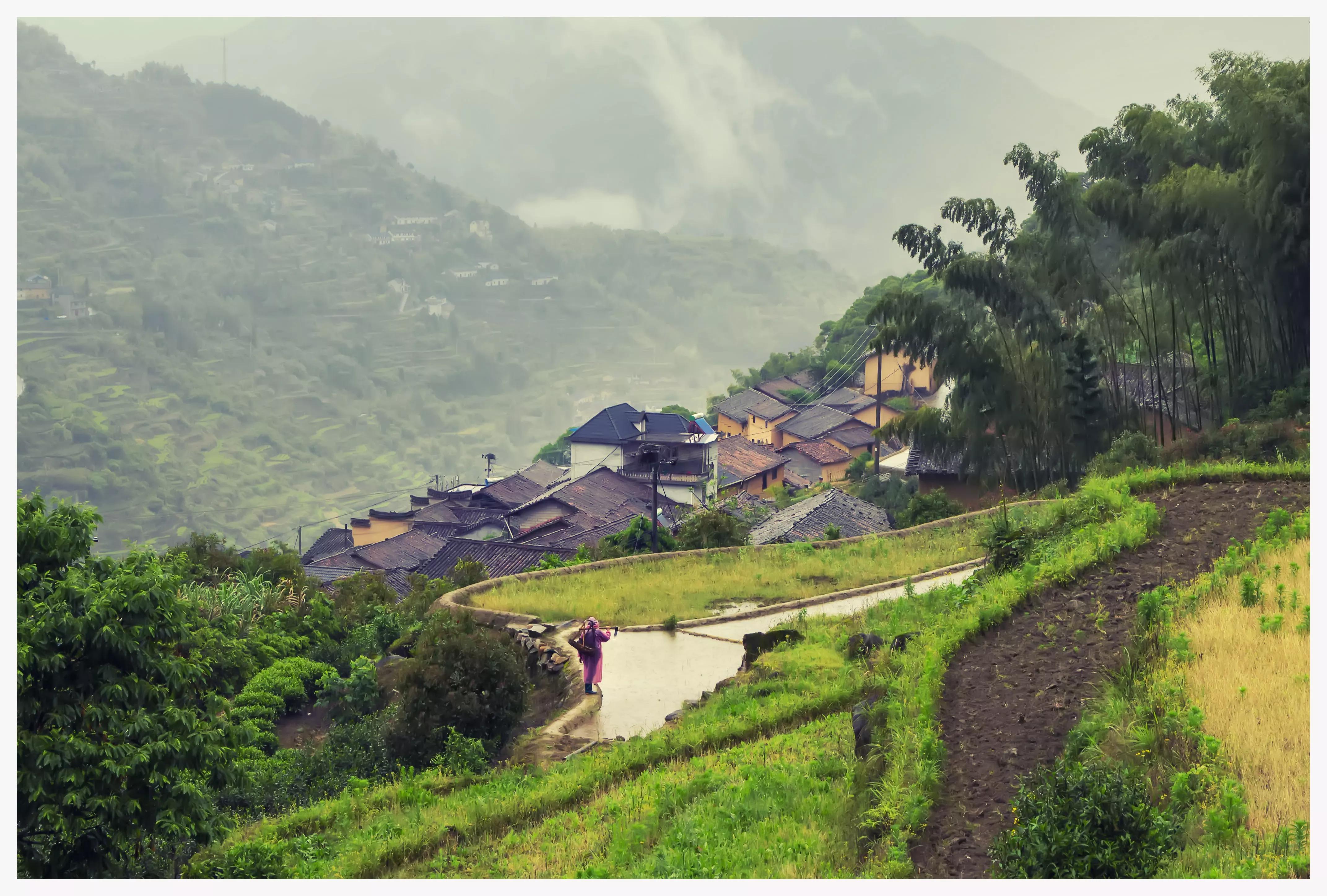 丽水遂昌深山秘境,遂昌姚岭山路
