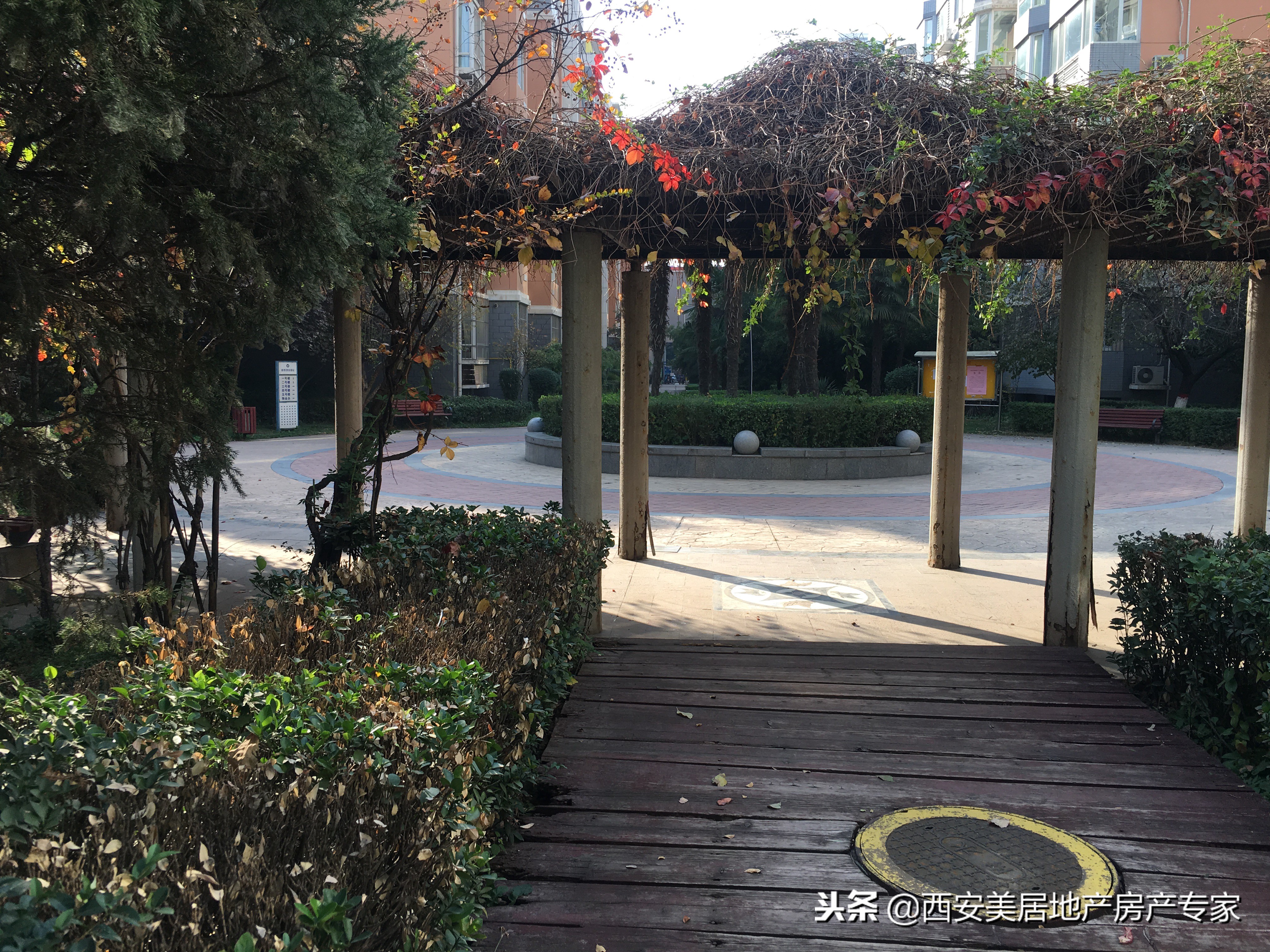 金桥四季花园,金桥花园小区怎么样