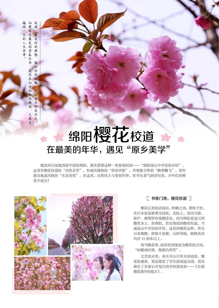 绵阳南山实验学校学生文科上线率,绵阳南山中学和绵阳南山实验学校