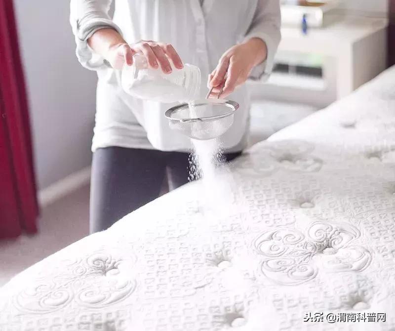 床垫被子怎么除螨虫,进口床垫清洗除螨虫