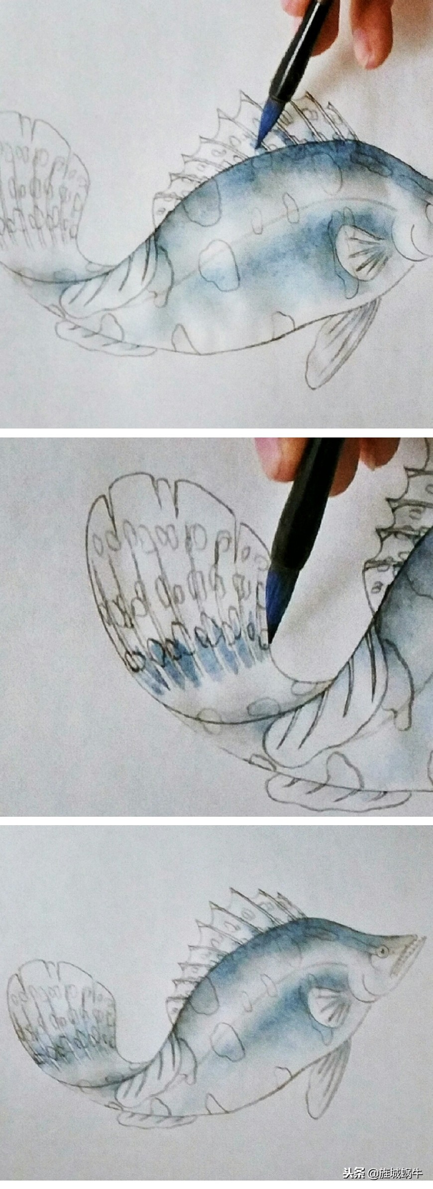 鳜鱼画法小视频,鳜鱼工笔画法视频