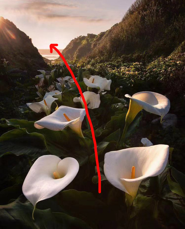 秘籍----移日*法大**