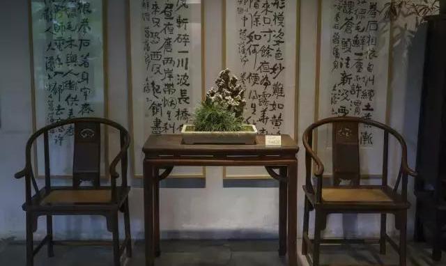 禅意浓浓的菖蒲盆景,最有禅意小绿植是菖蒲