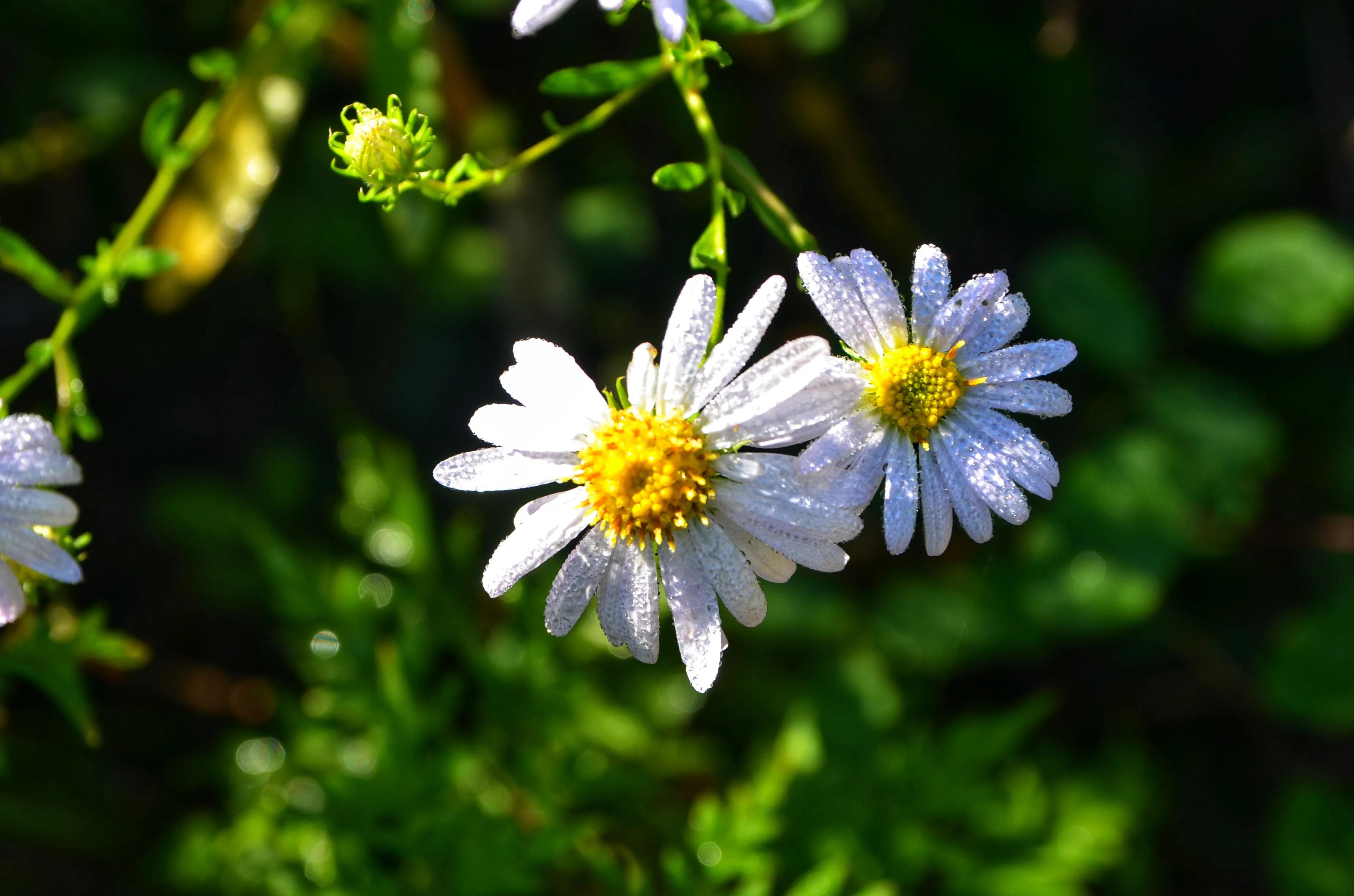 150001邮政编码哪里的,邮政编码100001是哪里的