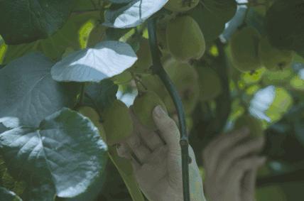 合肥大蜀山详细攻略,合肥大蜀山是什么时候去比较好看