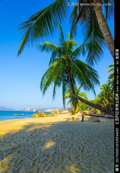 印象海南岛歌曲,印象海南岛海口