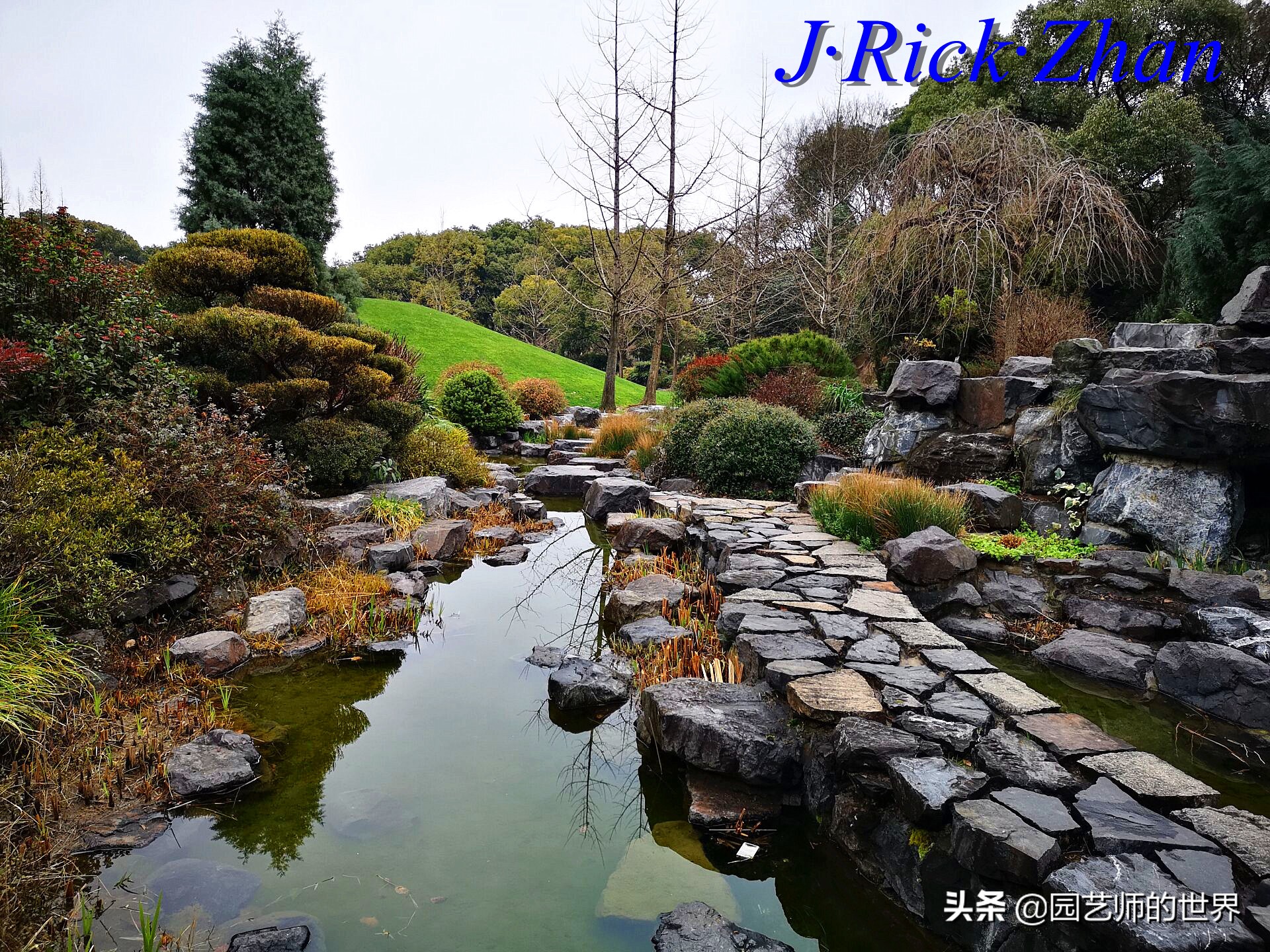 园艺研学报告,园艺园林研学