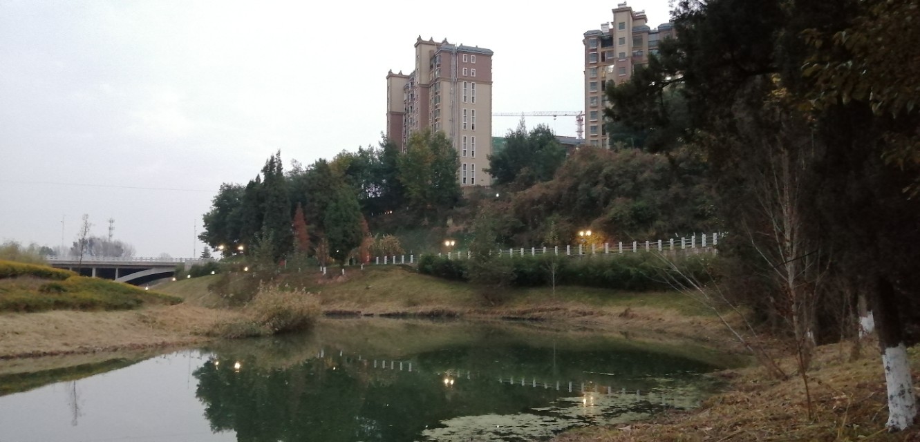 曲靖泰丰公园,晨拍泰丰公园路边