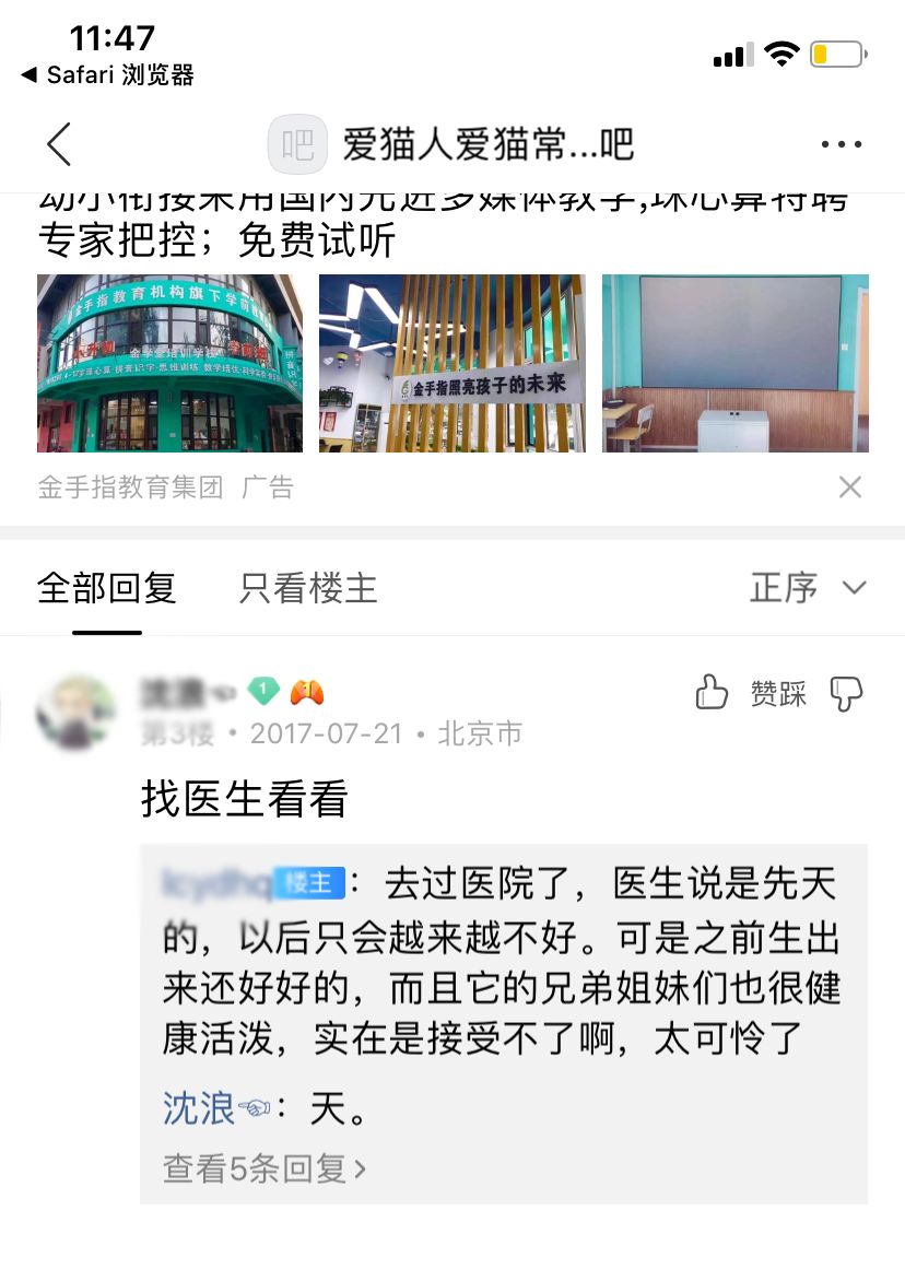 猫咪畸形断腿怎么安乐死,畸形的新生猫咪如何安乐死