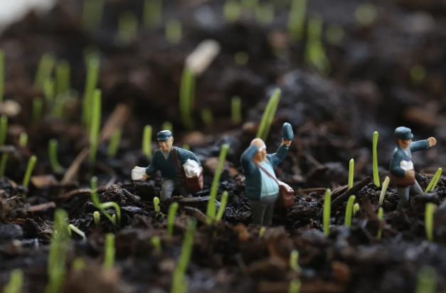 女明星生活费2万,上亿身家女明星日常