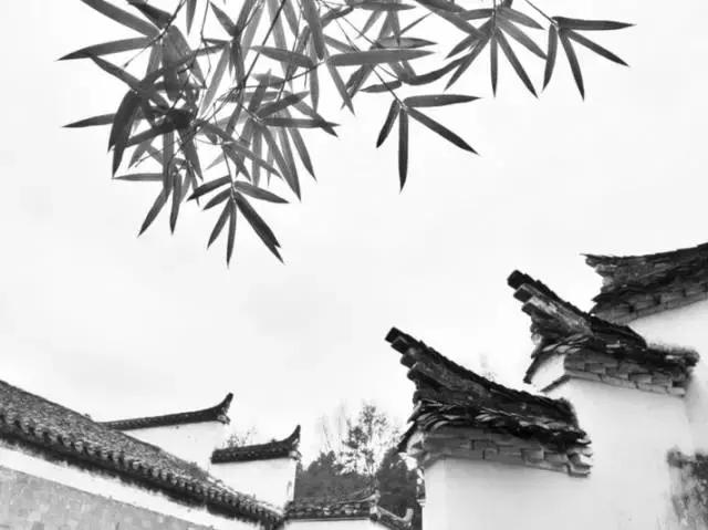 写给纳兰容若的诗句,纳兰容若惜春词