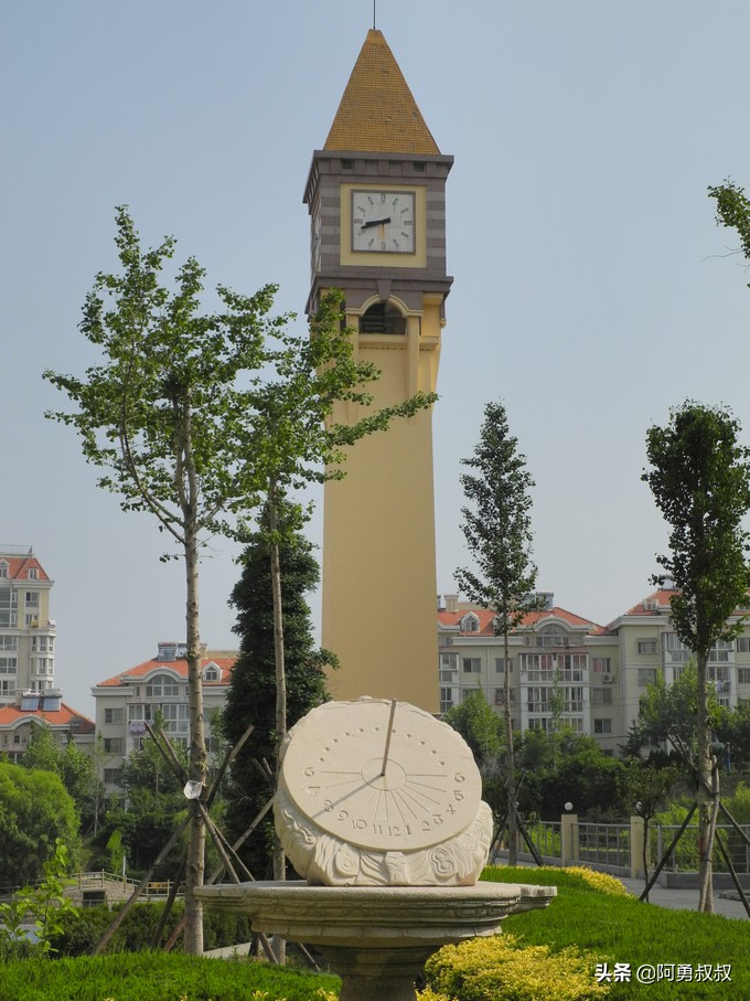 青岛二中2019高考成绩,经验分享大学专业