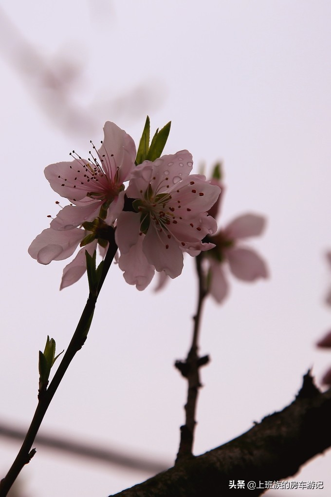 周末微旅行第一季,周末微旅行石湖