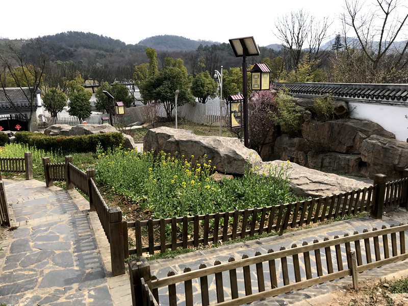 春至牛首，世凹春妆，画中徜徉，处处诗章-游南京江宁世凹桃源