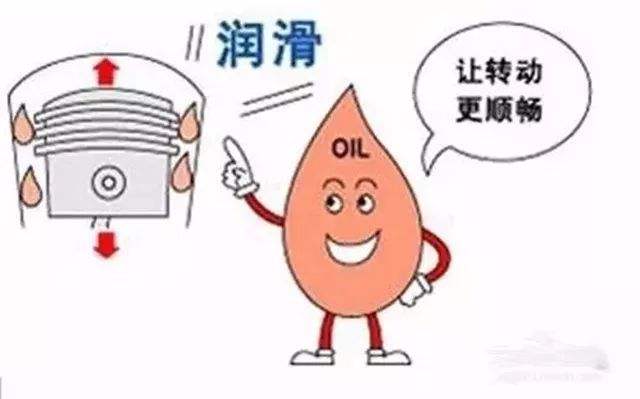 壳牌是一家怎么样的公司,壳牌属于什么性质的企业