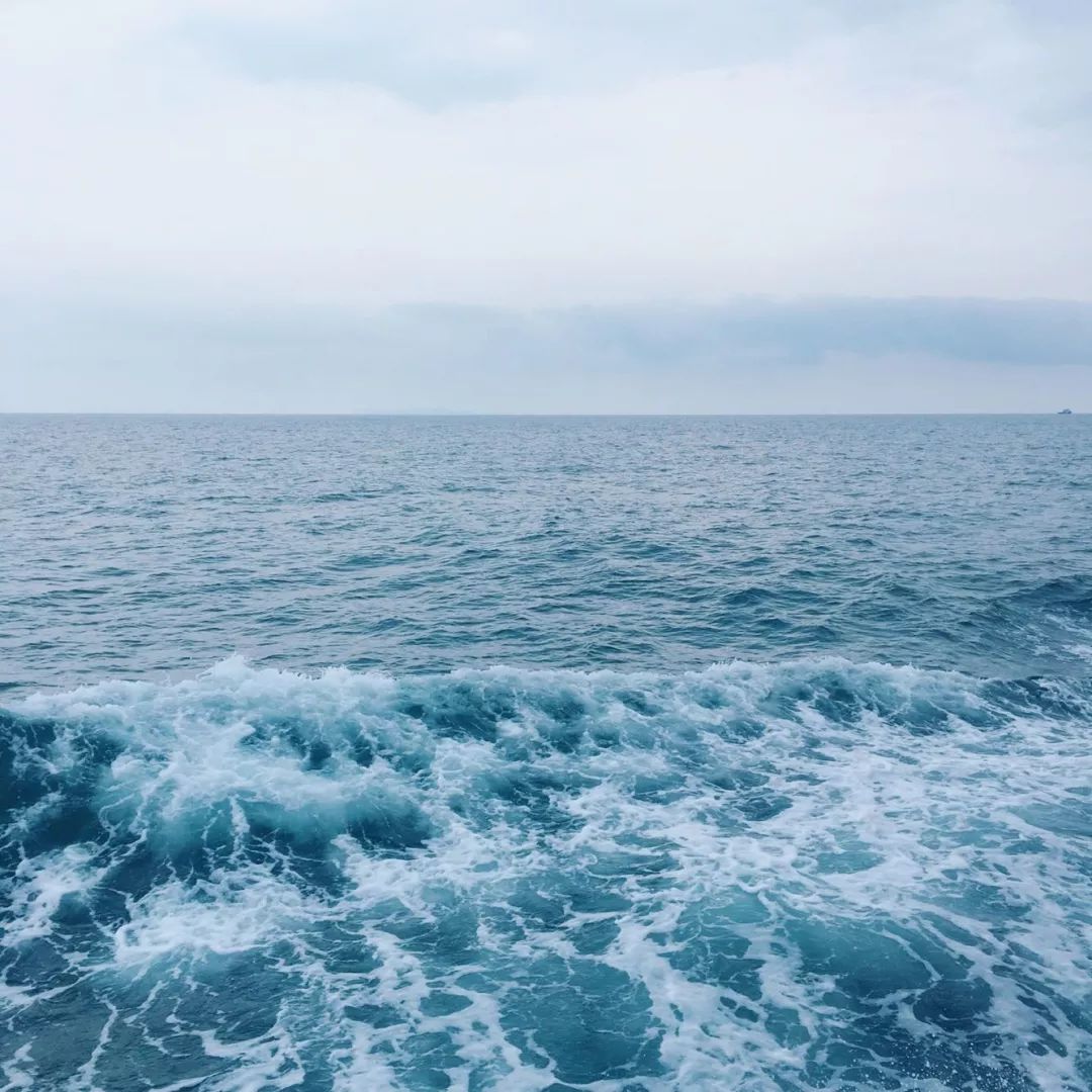 浙江最值得去的海岛 (浙江一定要去的5个海岛)