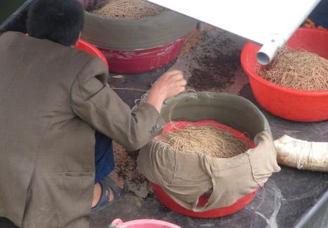 钓鱼大铁钩捕鱼技巧,捕鱼古老方法钓鱼