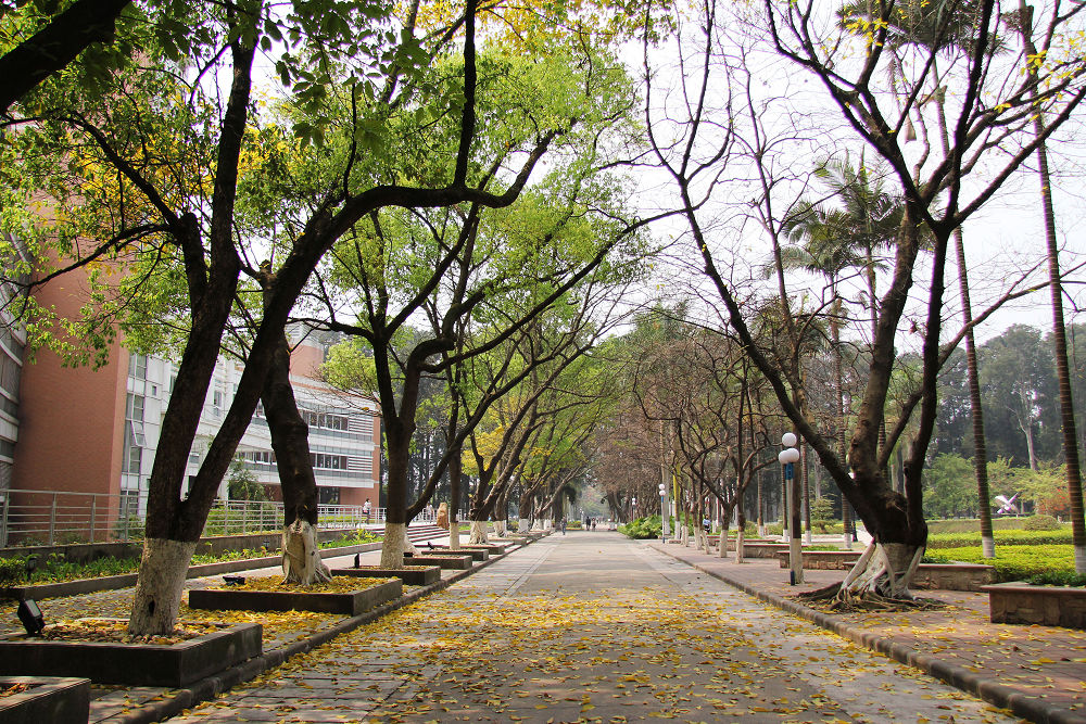 广东外语外贸大学就业率高的原因,广东外语外贸大学会计专业薪资