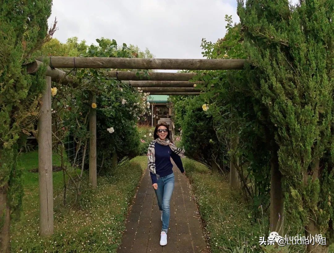 澳大利亚大洋路:Timboon一家自营牧场的奶酪工坊