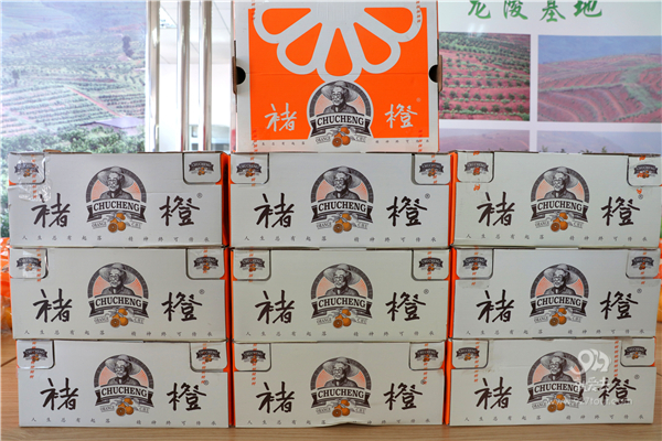 辨别真假褚橙的方法来了,买了褚橙和正要买褚橙的人一定要看过来