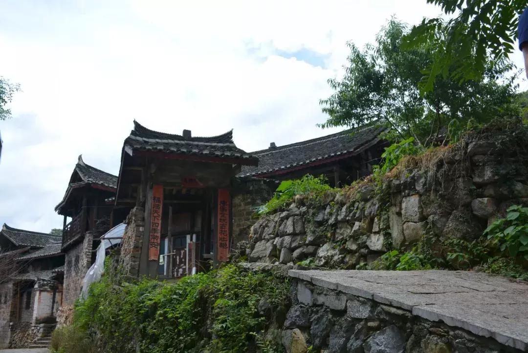 川西彩林自驾风景,川西三大草原绝美自驾游
