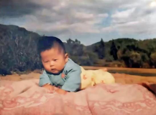 辛巴怎么样了啊,辛巴老铁视频完整版