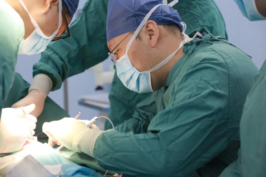 大医之道医者仁心,大医之道小说