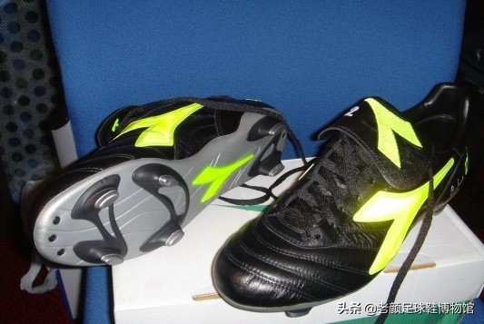 迪亚多纳赞助球队,迪亚多纳赞助意大利