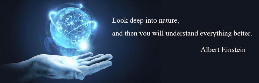 京东未来能撑多久,京东末位淘汰制